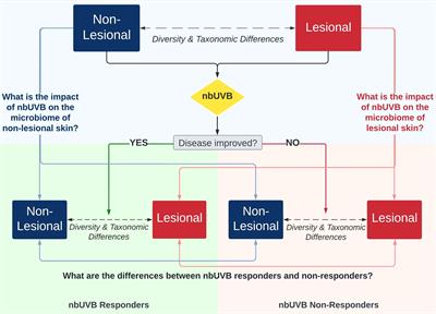 Narrowband ultraviolet B response in cutaneous T-cell lymphoma is characterized by increased bacterial diversity and reduced Staphylococcus aureus and Staphylococcus lugdunensis
